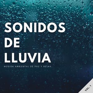 Sonidos De Lluvia: Música Ambiental De Paz Y Relax Vol. 1 - Lluvia Mozart