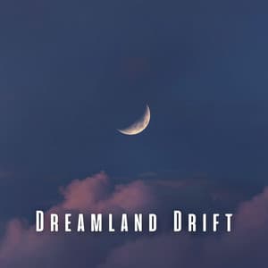 Dreamland Drift: Chill Music for Blissful Sleep - Pure Sleeping Music