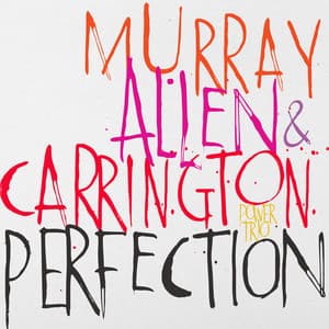 Perfection - David Murray
