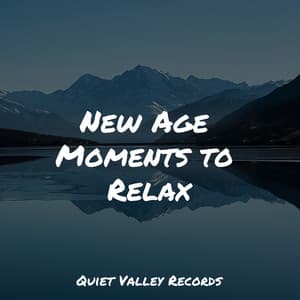 New Age Moments to Relax - Binaural Beats Brain Waves Isochronic Tones Brain Wave Entertainment
