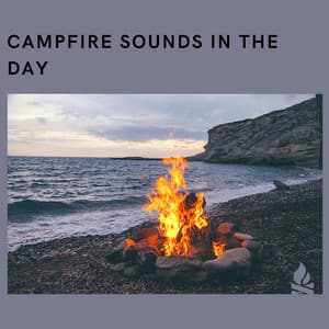 Campfire Sounds in the Day - Campfire & Fireplace