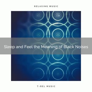 Sleep and Feel the Meaning of Black Noises - Sleep Noise Machine