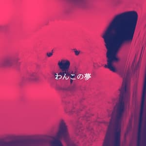 わんこの夢 - Chill Jazz