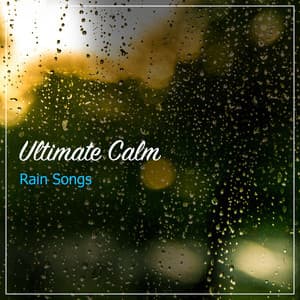 #15 Loopable Rain Sounds for Meditation - Rain Sound Studio