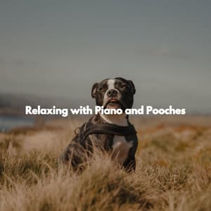 Relaxing with Piano and Pooches - Relaxing Dog Music Playlists