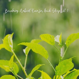 Becalming Ambient Rain for Quick Sleep Vol. 1 - Sleep Playlist