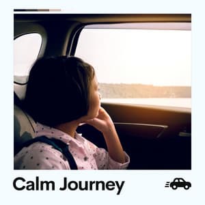 Calm Journey - Aesthetic Music