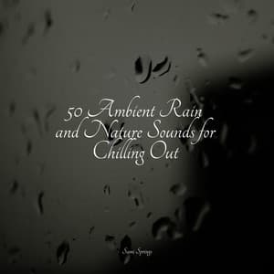 50 Ambient Rain and Nature Sounds for Chilling Out - White Noise For Baby Sleep