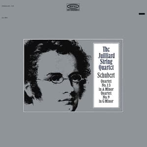 Schubert: Quartet No. 13, D. 804 & Quartet No. 9, D. 173 - Franz Schubert