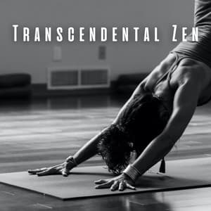 Transcendental Zen: Yoga and Meditation Melodies - Yoga Music Playlists For Yoga Class