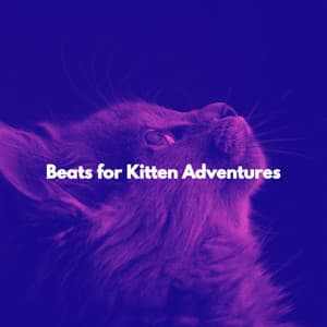 Beats for Kitten Adventures - Jazz Instrumental Chill