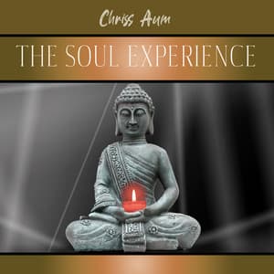 The Soul Experience - Chriss Aum