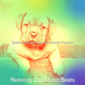Spacious Background for Serene Puppies - Relaxing Dog Music Beats