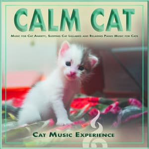 Calm Cat: Music for Cat Anxiety, Sleeping Cat Lullabies and Relaxing Piano Music for Cats - Cat Music Experience
