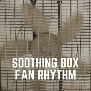 Soothing Box Fan Rhythm - Box Fan Sounds