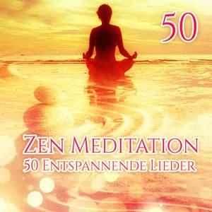 Zen-Meditation: 50 Entspannende Lieder für Yoga, Achtsamkeit, Spirituelles Erwachen, Klangtherapie, Autogenes Training - Tiefenentspannung Academy