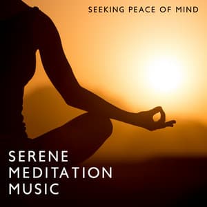 Seeking Peace of Mind: Serene Meditation Music for Stress Relief, Meditative Mind, Find Your Inner Peace, Meditation for Anxiety - Zen Meditation Guru