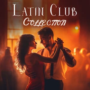Latin Club Collection - Brazilian Lounge Project