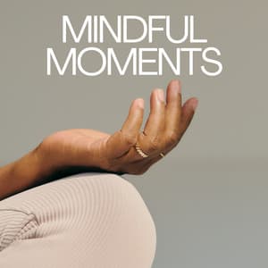 Mindful Moments - Asian Meditation Music Collective