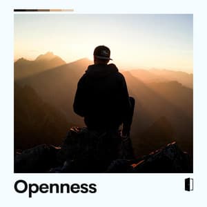 Openness - Relax