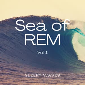 1 Sea of REM Vol. 1 - Sea of Calmness