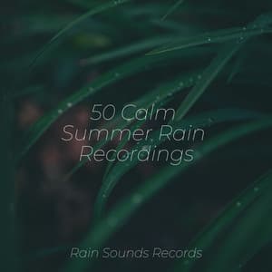 50 Calm Summer Rain Recordings - Yoga Music