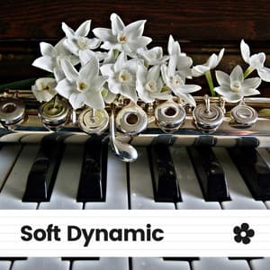 Soft Dynamic - Relaxed Minds