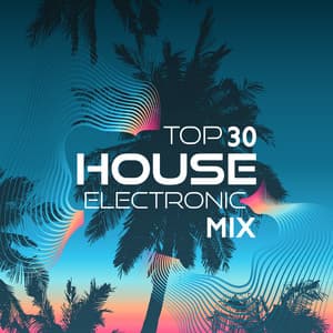 TOP 30 House Electronic Mix - Dj House'mix