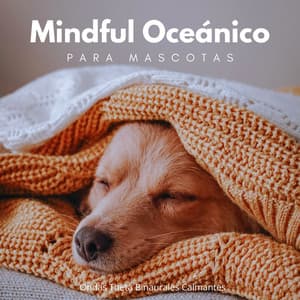 Mindful Oceánico Para Mascotas: Ondas Theta Binaurales Calmantes - Sistema de ritmos binaurales