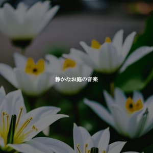 静かなお庭の音楽 - Elevator Background Music Sensation