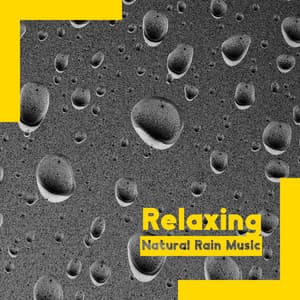 Find Your Inner Harmony - Relaxing Natural Rain Music - Rain Music!