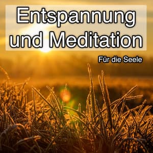 Entspannung und Meditation - Für die Seele - Ambient Sound Collective
