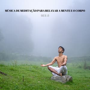 Música De Meditação Para Relaxar A Mente E O Corpo Ses. 2 - Música de Relaxamento No Spa