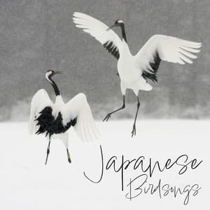 Japanese Birdsongs - Bird Song Group