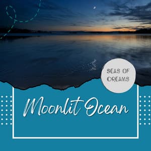 Moonlit Ocean: Piano beneath the Stars - Seas of Dreams
