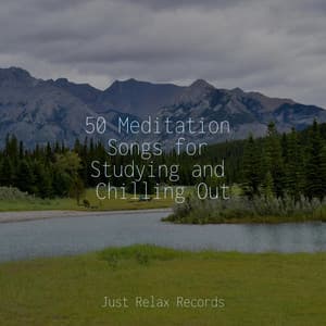 50 Meditation Songs for Studying and Chilling Out - Chakra Balancing Sound Therapy