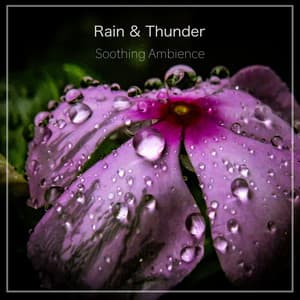 Soothing Ambience - Rain & Thunder