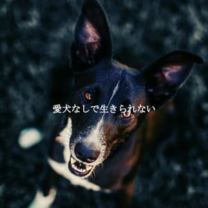 愛犬なしで生きられない - Cafe Jazz Deluxe