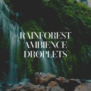 Rainforest Ambience Droplets - Loopable Rain Sounds