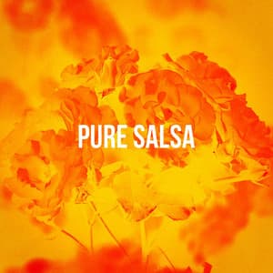 Pure Salsa - Latin Sound