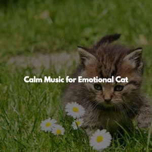 Calm Music for Emotional Cat - Hotel Luxury Jazz