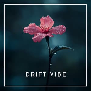 Drift Vibe - Baby Shushing