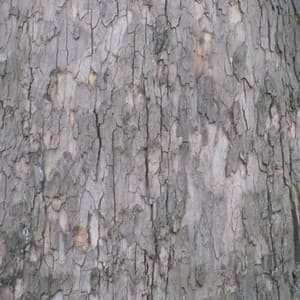 Book of Changes, Vol. 1 - Yin And Yang