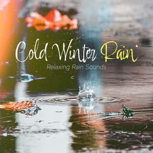 Cold Winter Rain - Relaxing Rain Sounds