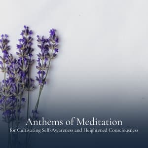 Anthems of Meditation for Cultivating Self-Awareness and Heightened Consciousness - The Solfeggio Peace Orchestra
