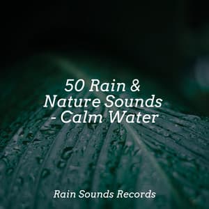 50 Rain & Nature Sounds - Calm Water - Nature Sounds