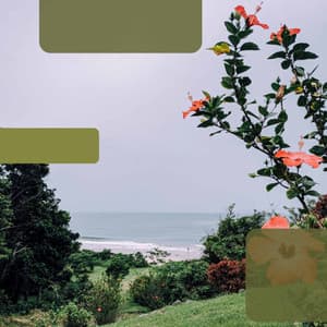 Background Music - Calming Moments - Mellow Sunday Morning Music