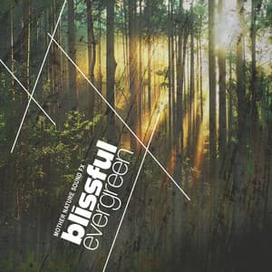 Blissful Evergreen - Mother Nature Sound FX