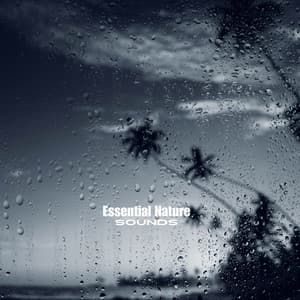 Raindrop Echo Dives - Essential Nature Sounds