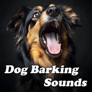 Dog Barking Sounds - Dog Sounds